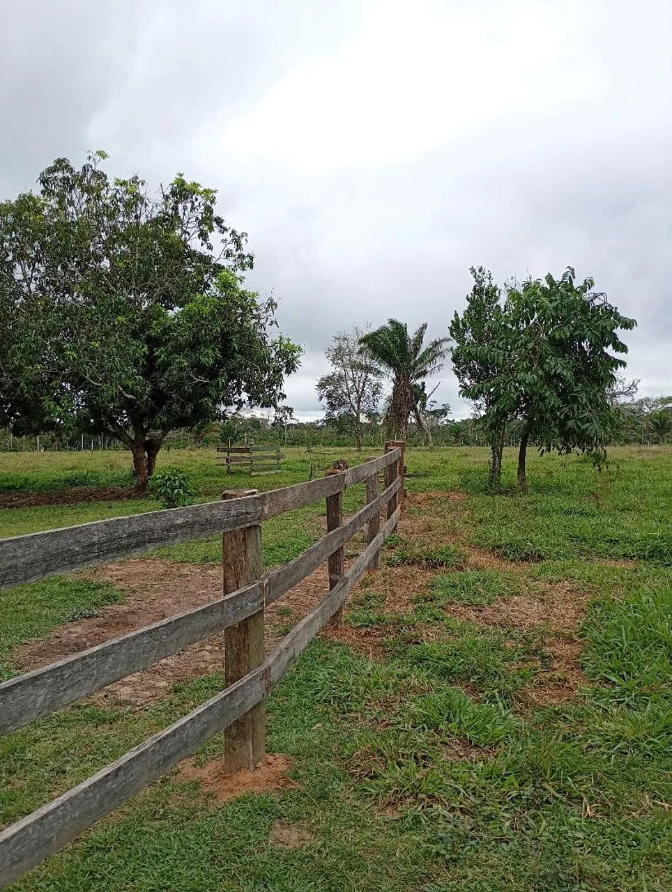 Não tem  - Foto 3