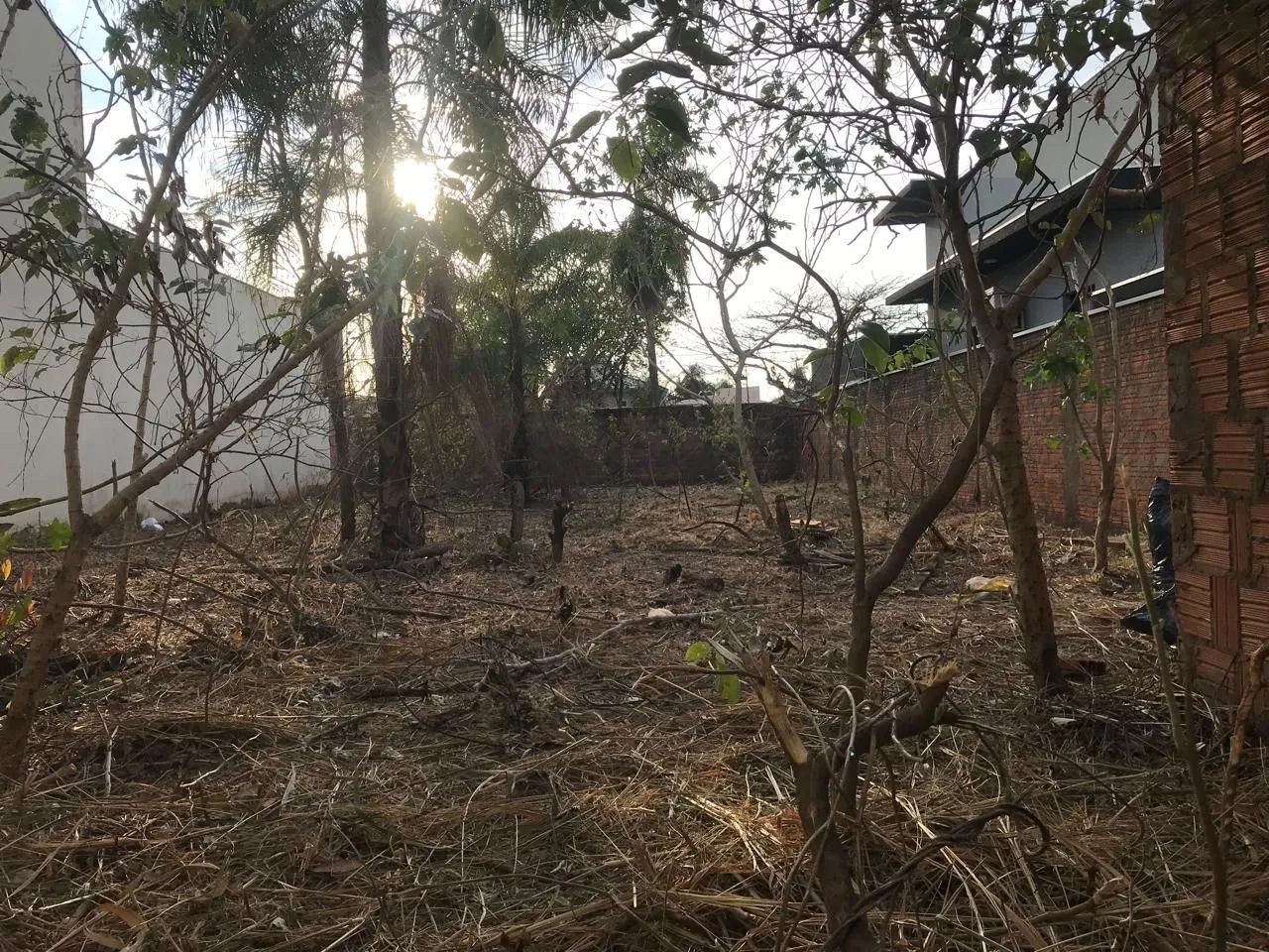 Terreno Vila Nascente  - Foto 2