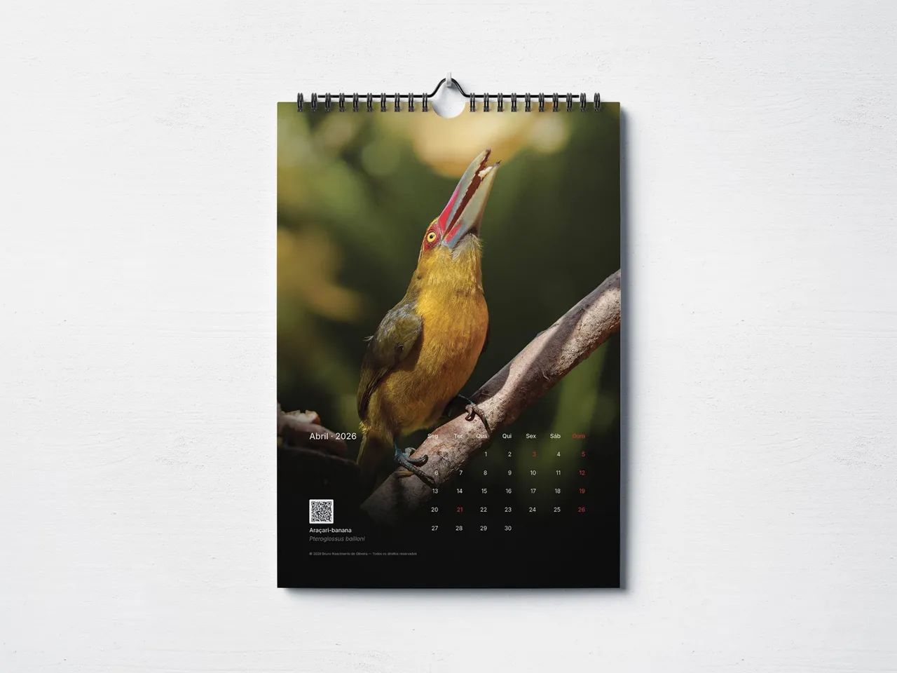 Calendário 2026 Cores da Mata Atlântica (tiragem limitada) - Foto 5