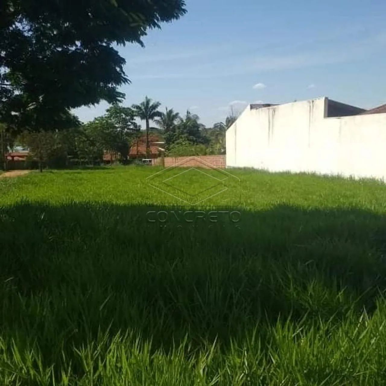 Terreno Padrão em Arealva