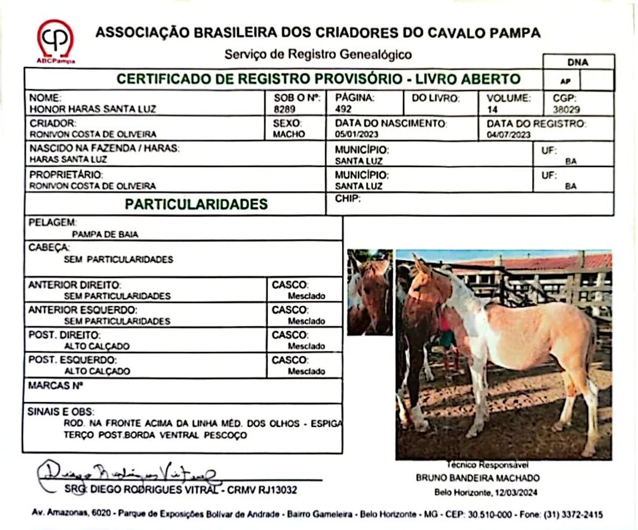 Vendo Potro Pampa - Foto 5