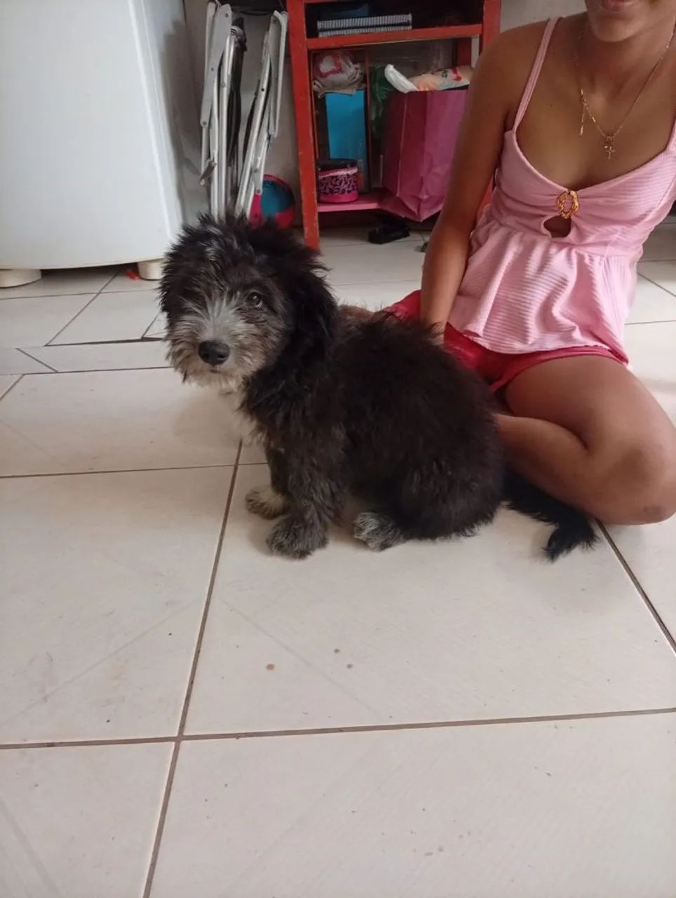 Vendo poodle  - Foto 3