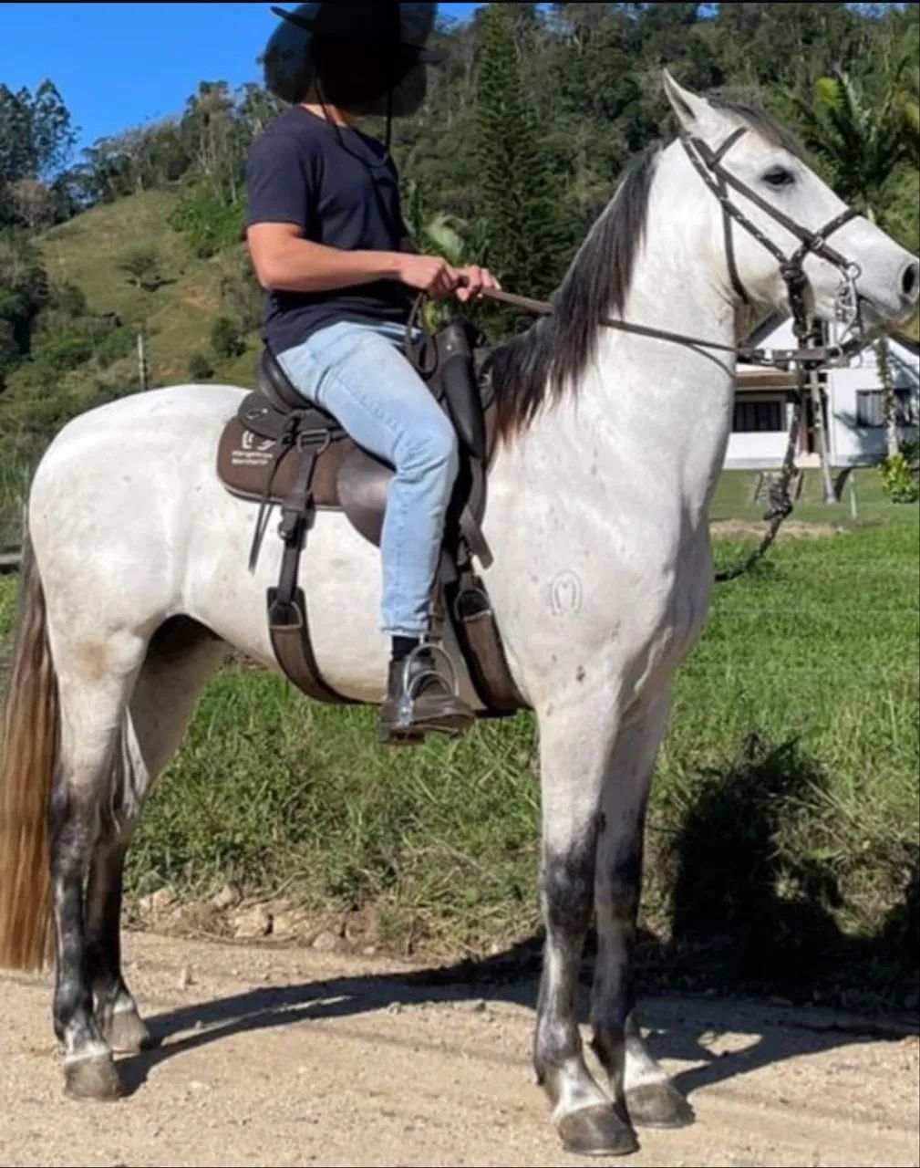 Cavalo manga larga - Foto 4