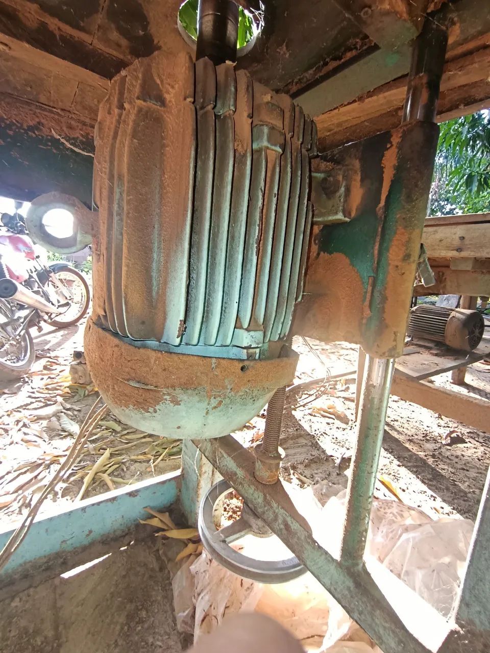 Tupia  - Foto 3