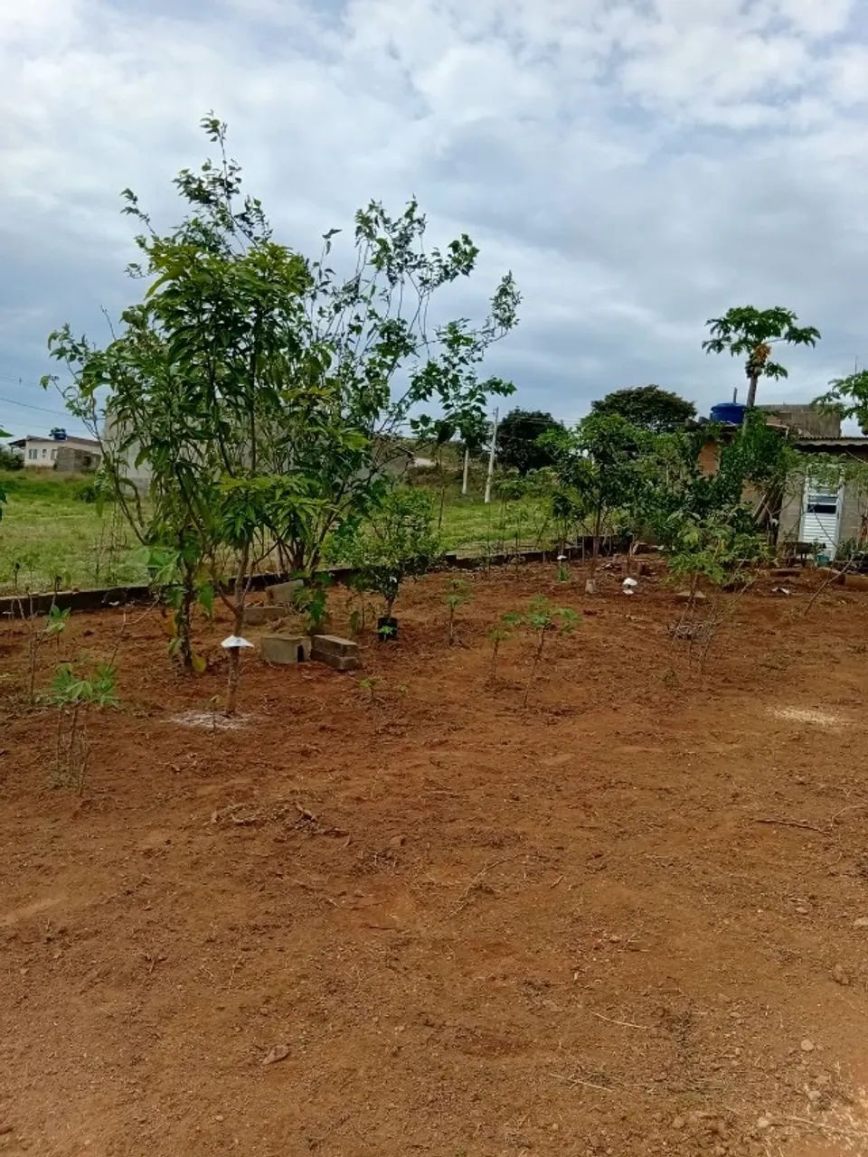 Rancho MG - Foto 5