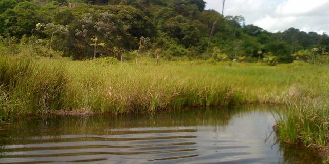 Zé Doca - Maranhão: Vendo Propriedade Rural - Foto 19