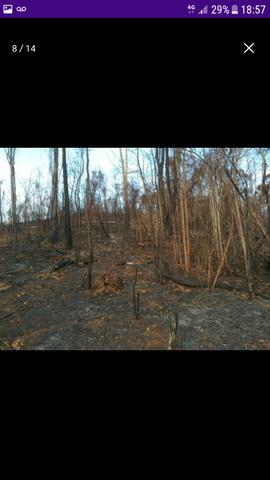 Terreno em Santa Rita de Minas - Foto 7