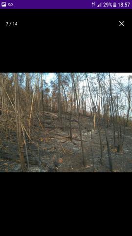 Terreno em Santa Rita de Minas - Foto 11