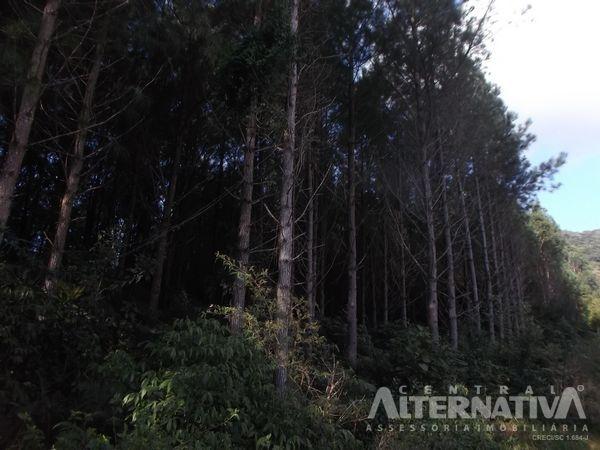 Chácara no ribeirão do zinco - Foto 6