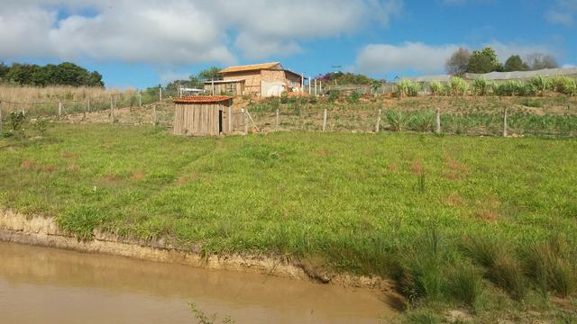 Torro chacara em siqueira canpos - Foto 3