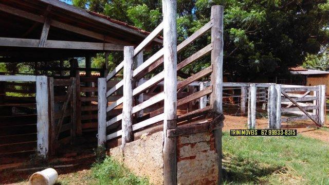 Fazenda de 13 alq. em Trindade - Foto 14