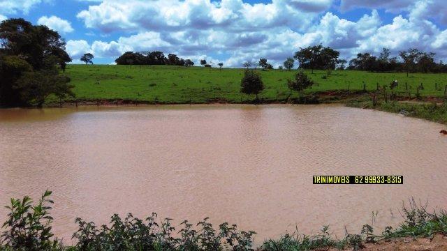 Fazenda de 13 alq. em Trindade - Foto 6