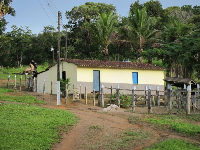 Vendo fazenda mista, cacau e gado - Foto 3