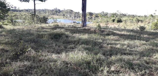 Fazenda em Roraima na BR210 - Caroebe - Foto 3
