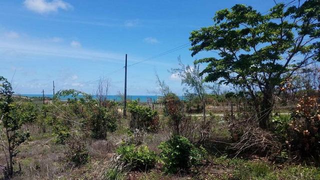 Terreno na Praia . - Foto 2