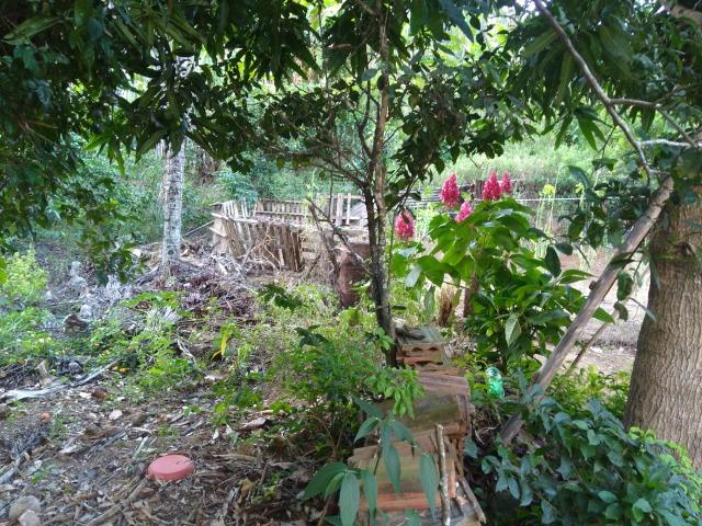 Venda-se está propriedade de 12 alqueires no Município de Muqui/ES - Foto 8