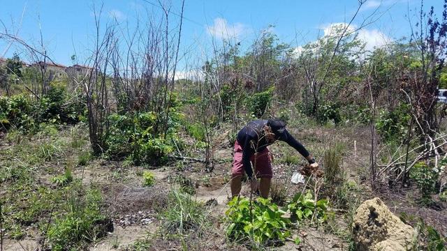 Terreno na Praia . - Foto 3