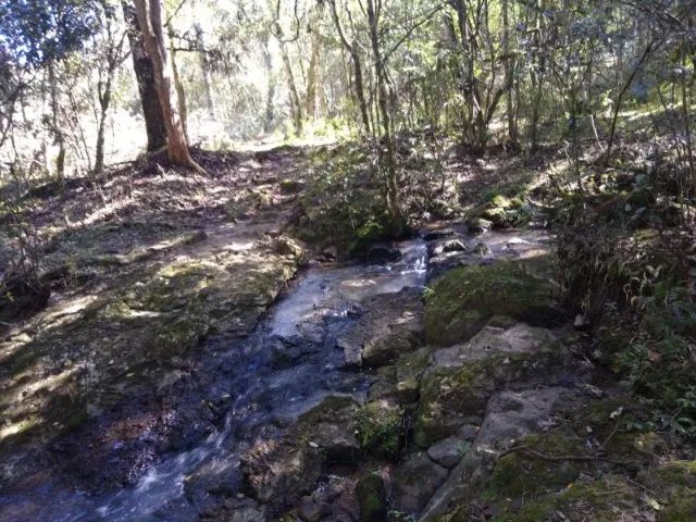 Chácara 2,0 Ha Dalagno - Foto 6