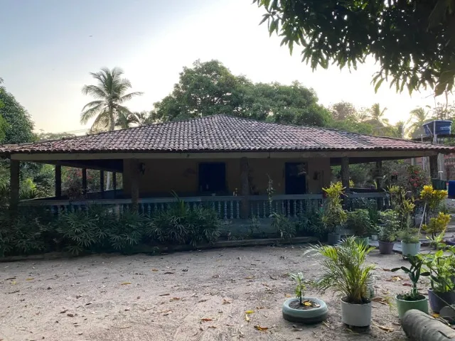 vendo sitio 1600m² varias arvores frutiferas casa com varanda ,São jose dos indios