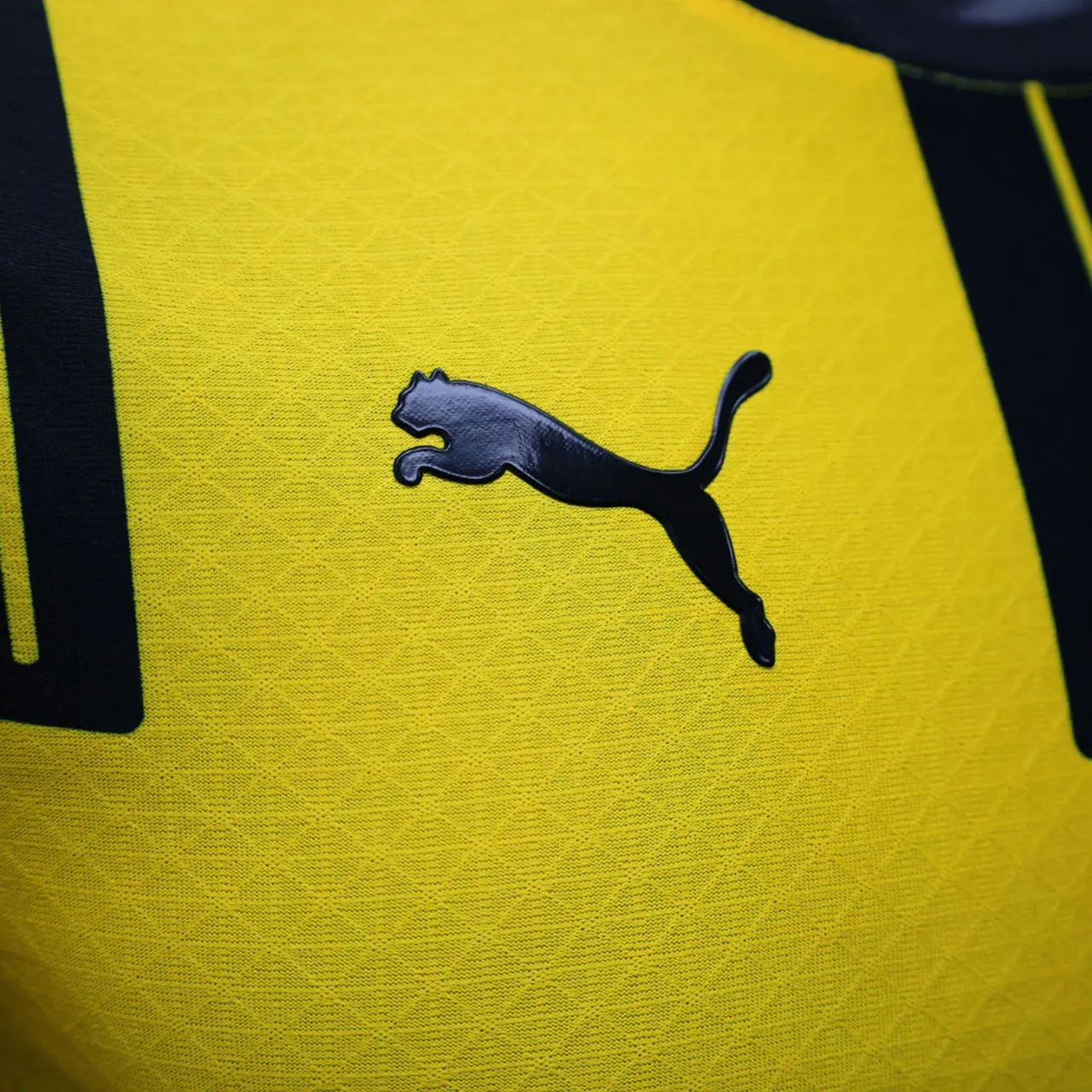 Camisa Borussia Dortmund 24/25 Versão Jogador Especial - Foto 4