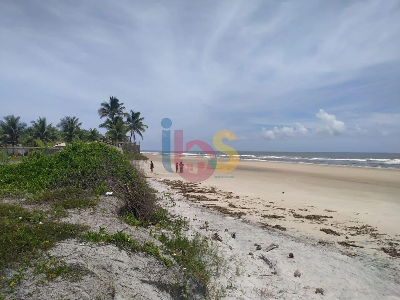 Lote no Sirihyba III