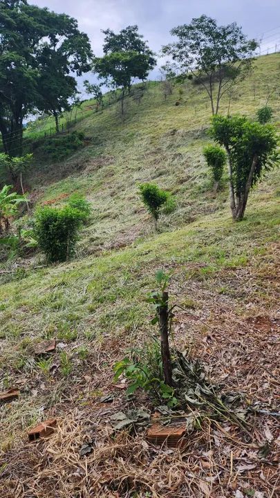 Terreno com vista espetacular em área rural - Foto 2