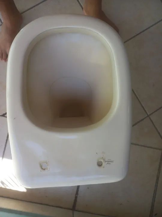 Vaso sanitario 