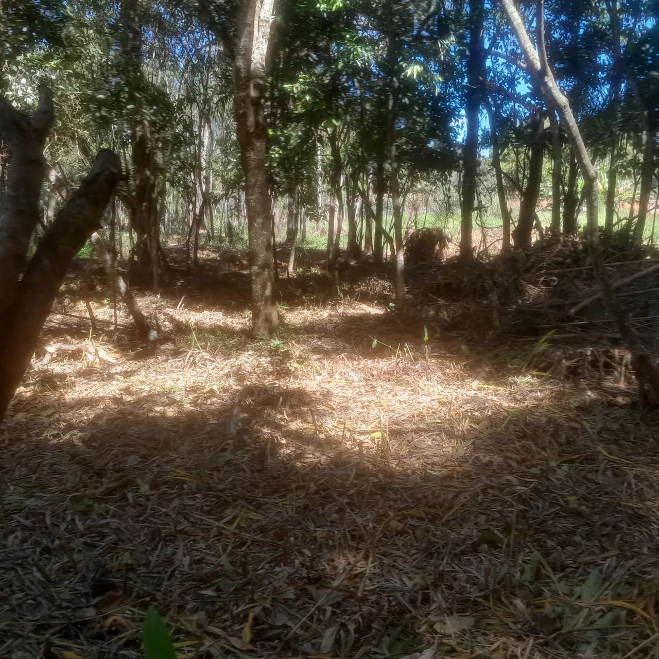 Terreno com lagoa em serra azul  - Foto 5