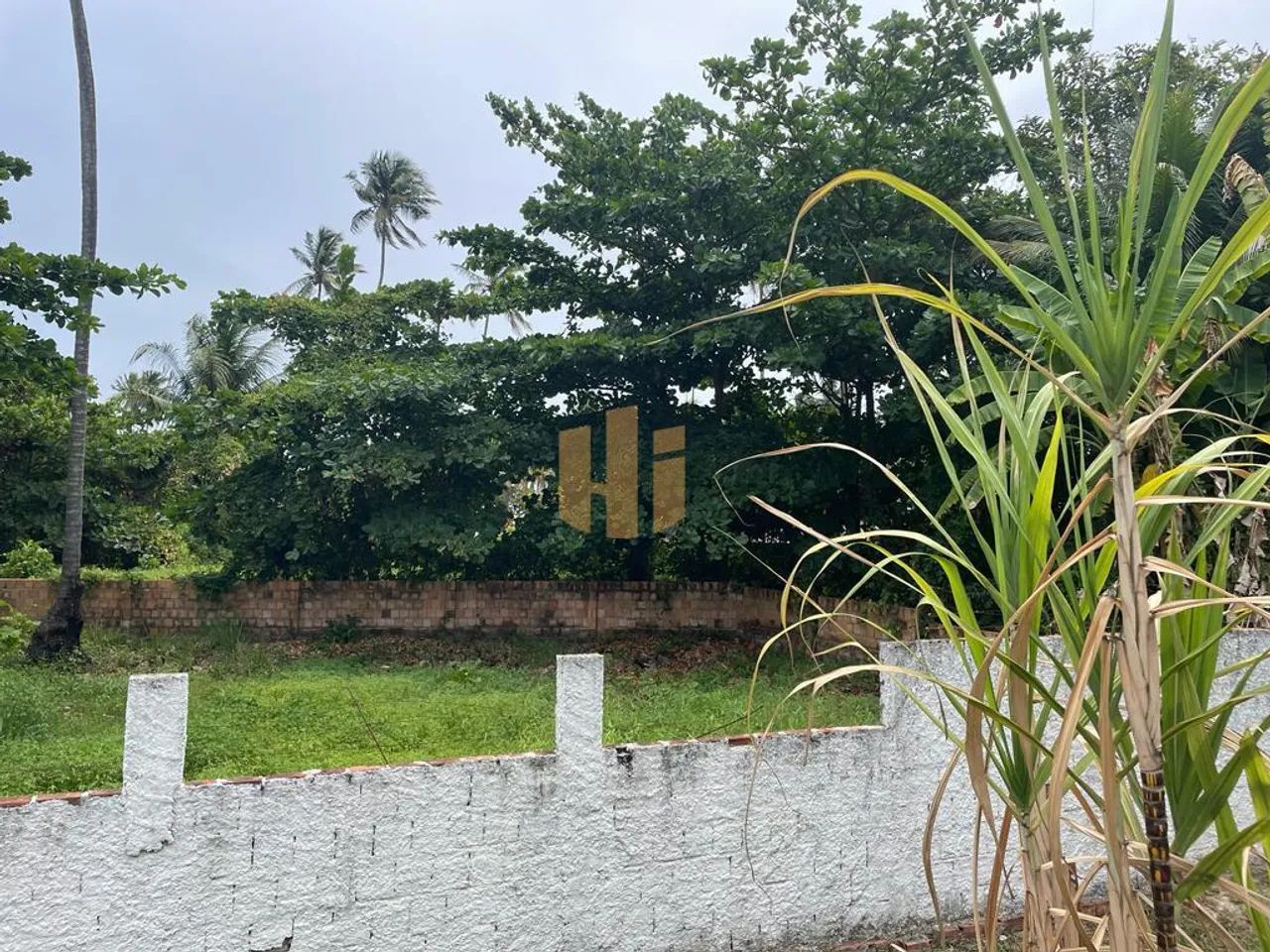 Terreno dos Sonhos à Beira-Mar em Sirinhaém, PE! - Foto 10