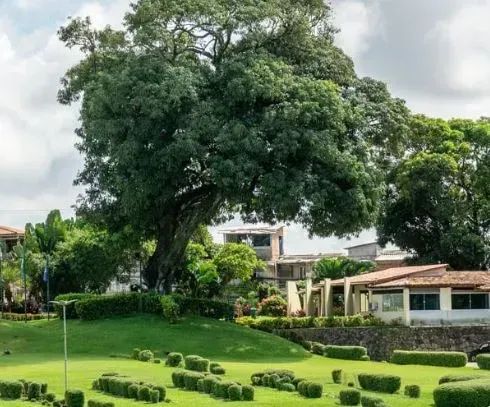 VENDA DE JAZIGO PERPÉTUO - BOSQUE DA PAZ - Foto 2