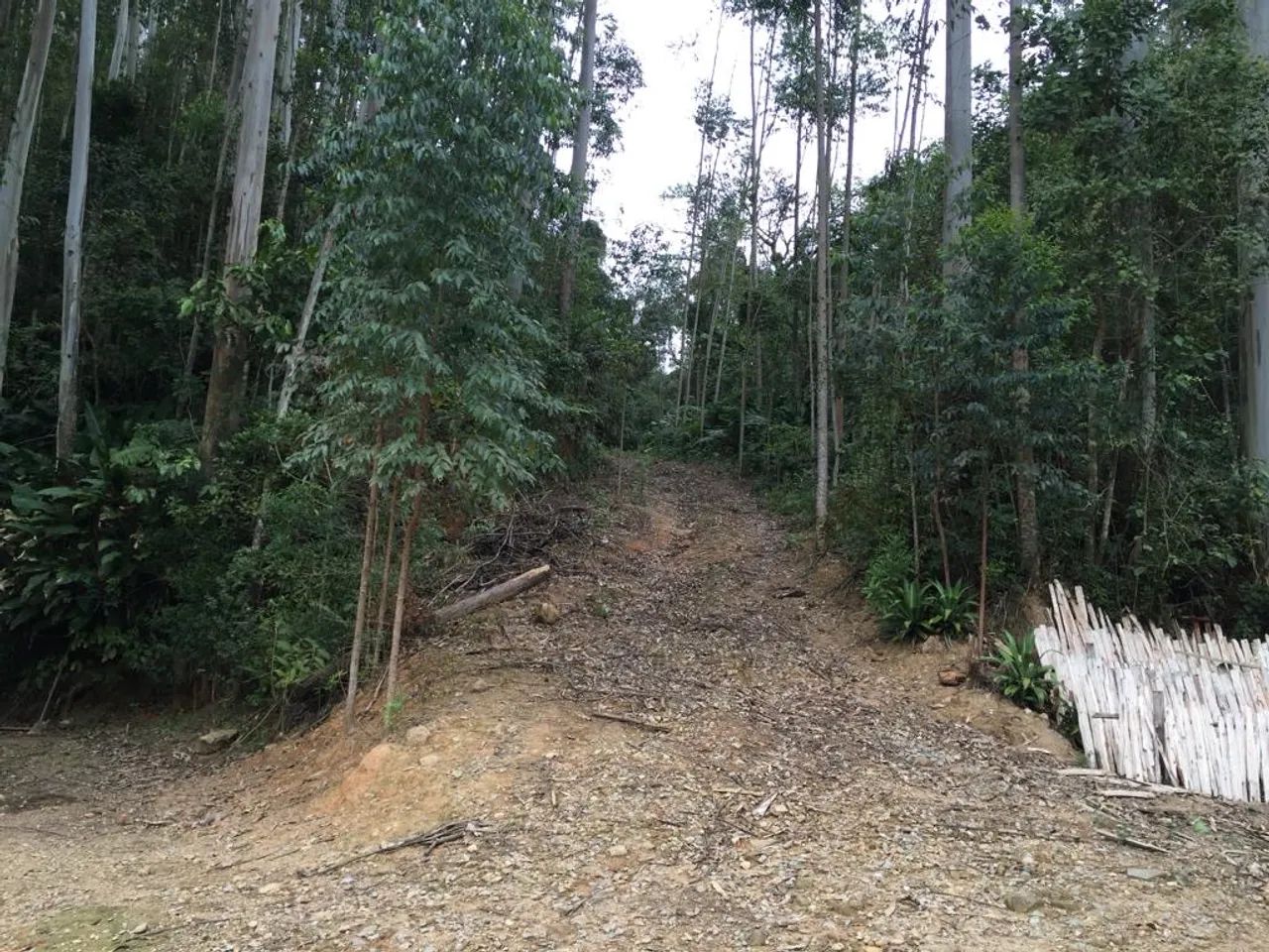 Sítio em São Bonifácio  - Foto 5
