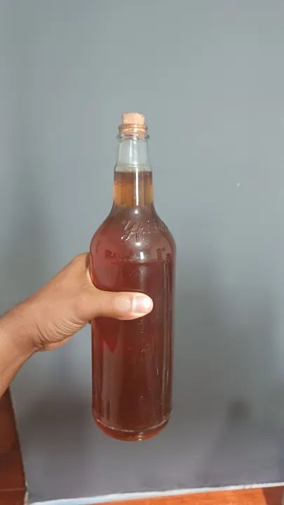 Mel de abelha puro - 10 garrafas - Foto 2