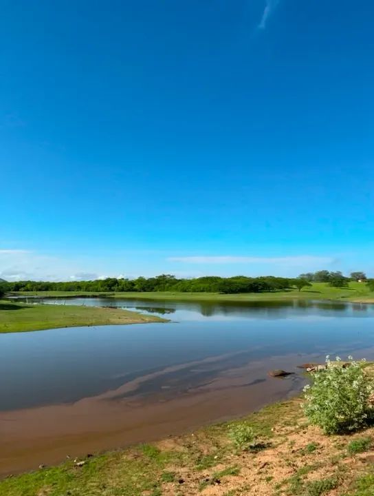 Fazenda Caninde com 51 hectares oportunidade - Foto 3