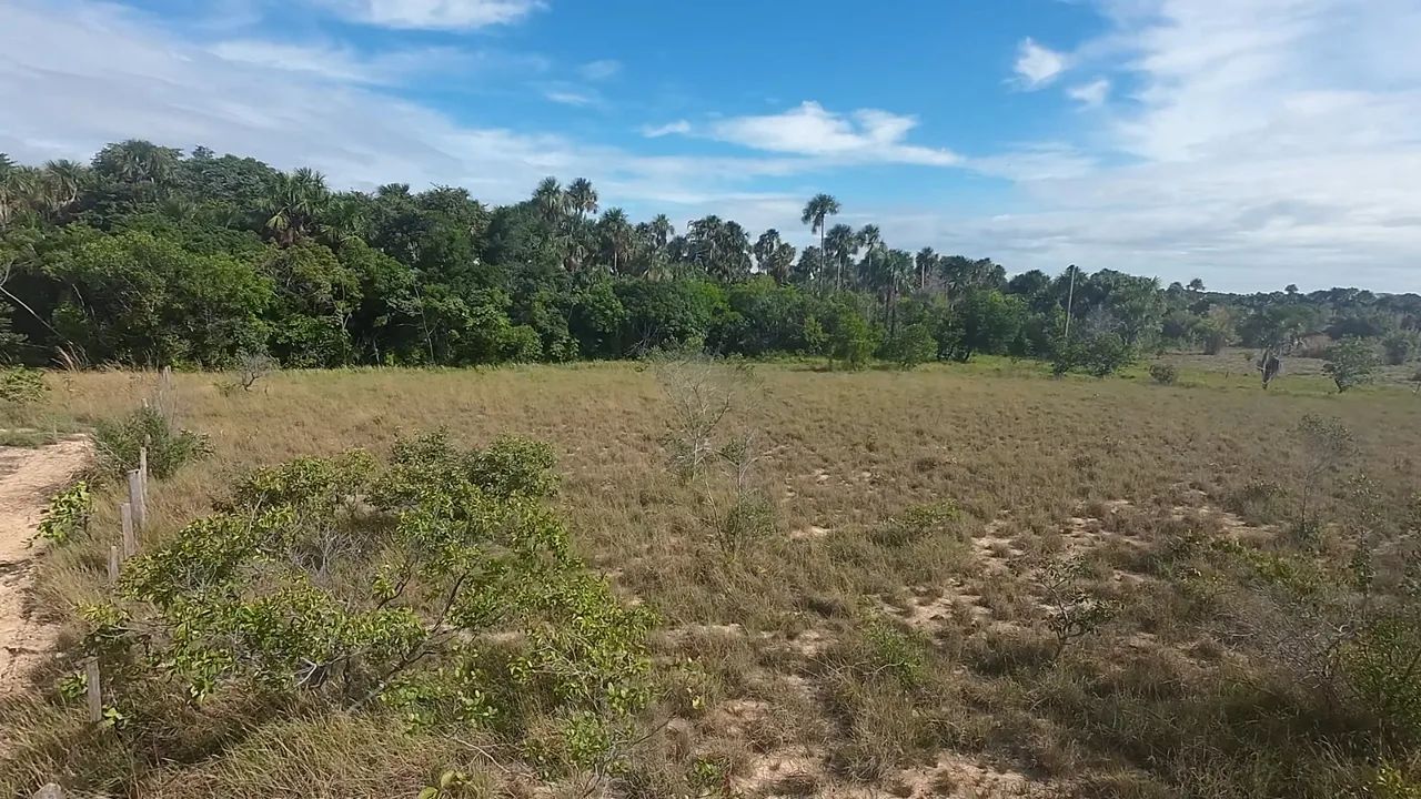 Vende-se sítio sentido mucajai com 17 hectares  - Foto 4