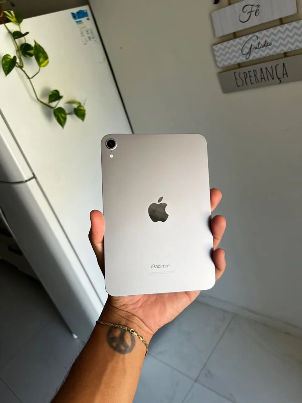 IPad Mini 7 (2024) Garantia Apple 