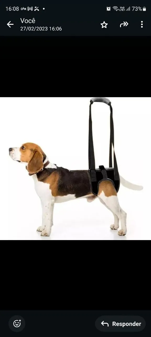 Suporte para cães com mobilidade reduzida