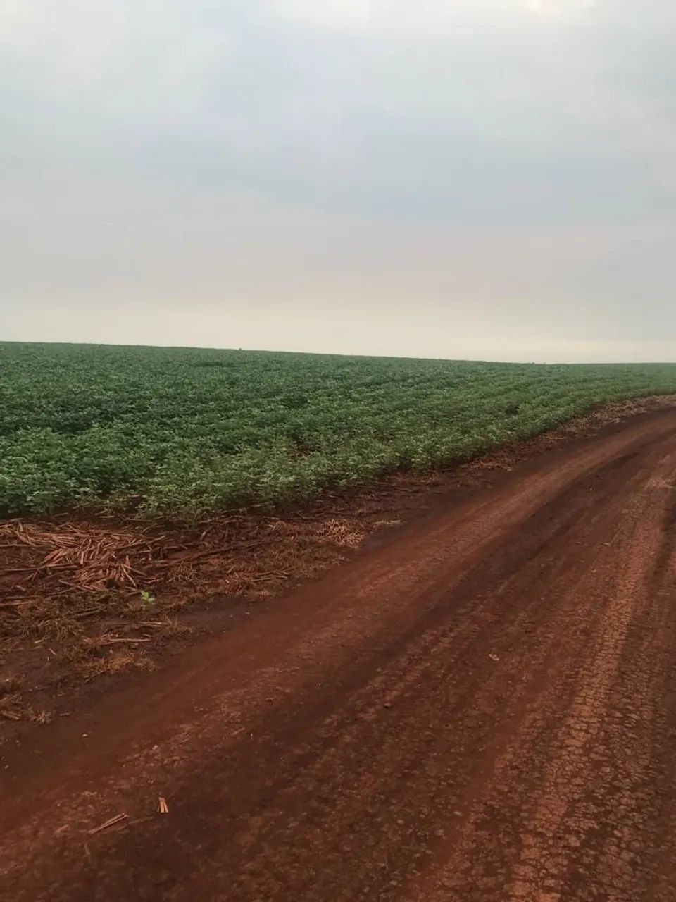 Fazenda 105 alqueiero
