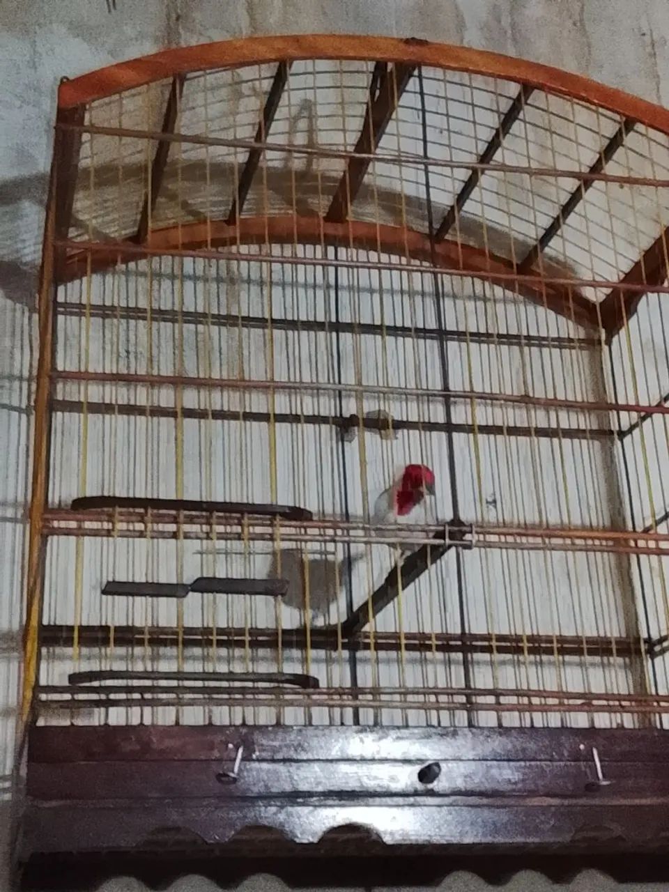 Gaiola pra vender  - Foto 2