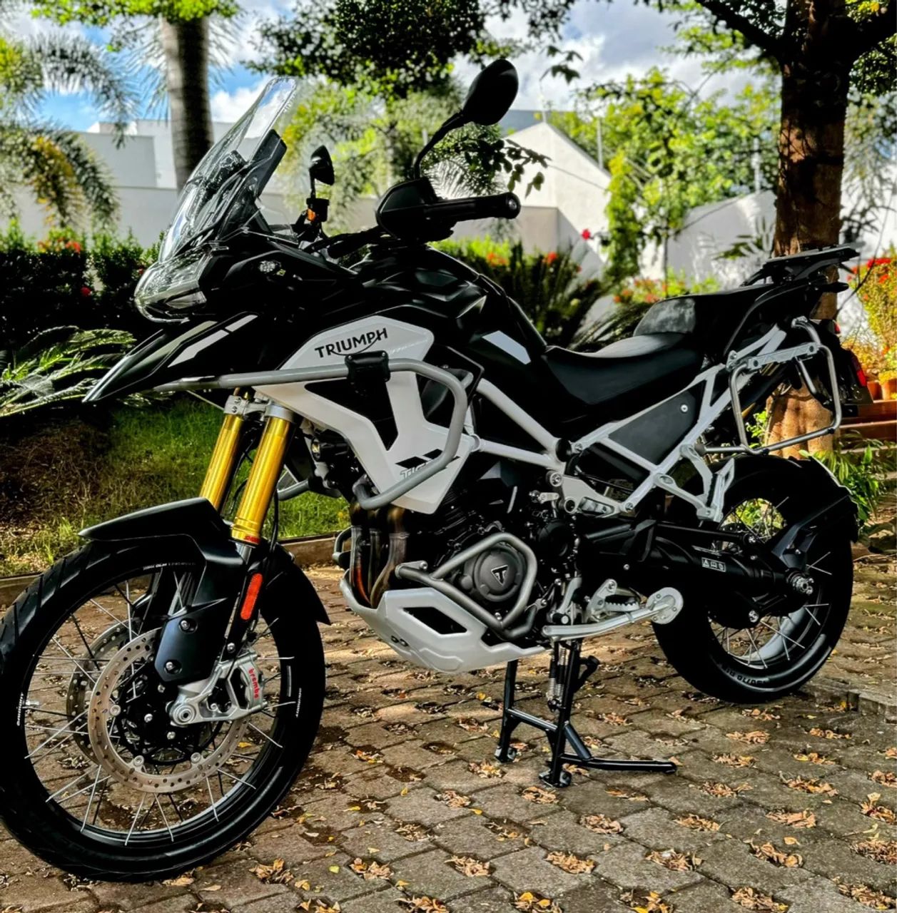 Triumph Tiger 1200 Rally Pro 