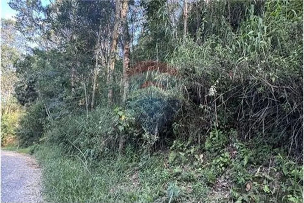 Terreno à venda no Parque São Clemente, Rua Maria Duque Laginesttra - R$ 180.000 - Foto 3