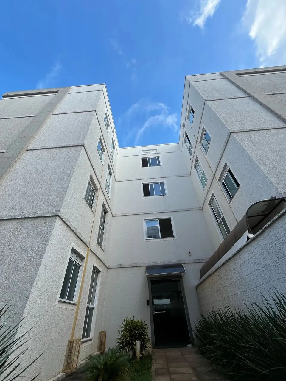 Palmeira Imperial - 402 Norte
