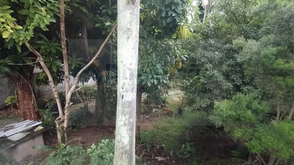 Terreno à venda em Florianópolis - Foto 14