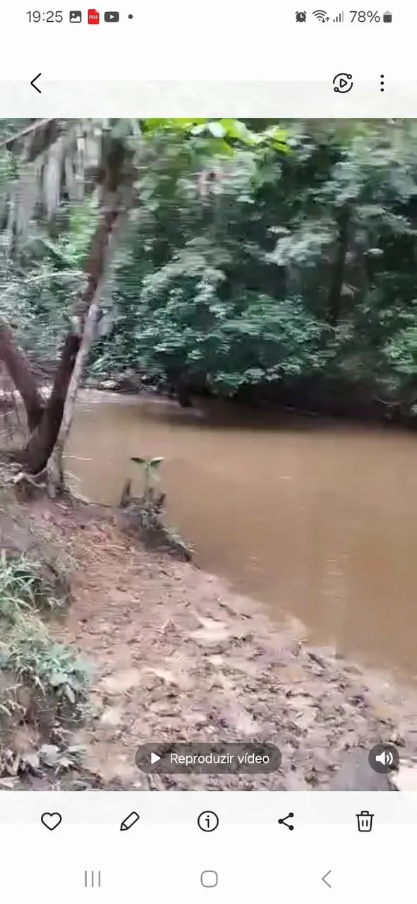 Vende_se uma chácara de 7 alqueiro... 90mil (alqueiro)
