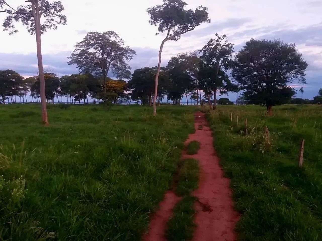 Imóvel para venda FAZENDA À VENDA | BATAGUASSU / MS - Foto 7