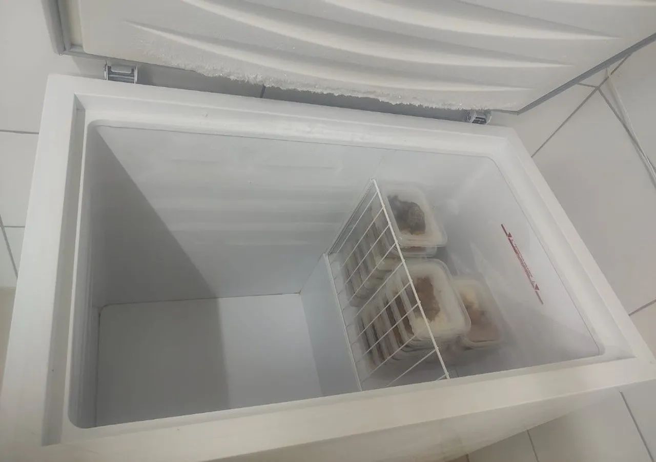 Freezer Eletrolux  - Foto 3