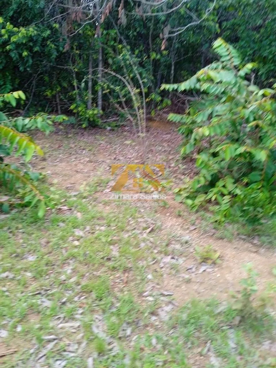 Fazenda com 1 Quarto à Venda, Setor Central - Araguaçu - Foto 3
