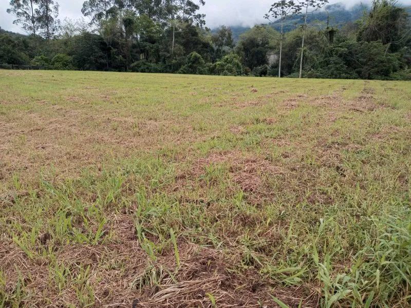 Terreno RODEIO - SC - Foto 5