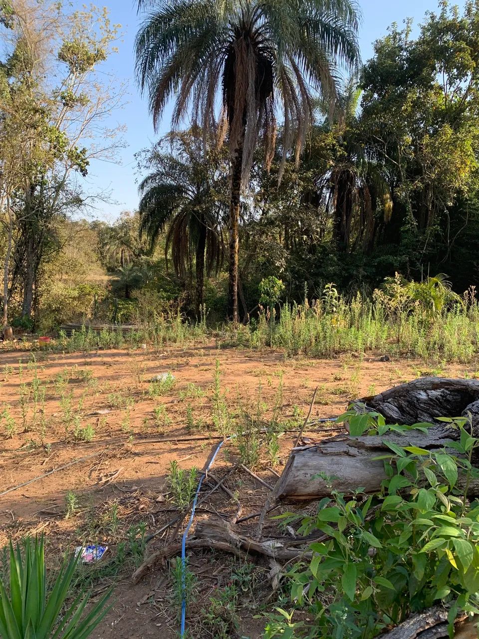 vendo chácara em Itauna município dos angicos 