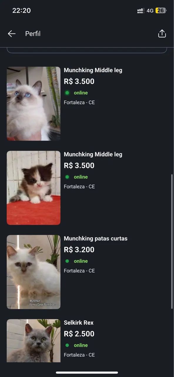Gatos