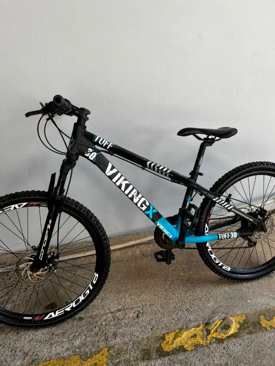 Bicicleta 